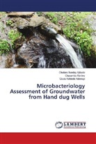 Adewuyi, Gbola Kehinde Adewuyi, Oludare Sunda Ajibade, Oludare Sunday Ajibade, Olasumb Martins, Olasumbo Martins - Microbacteriology Assessment of Groundwater from Hand dug Wells