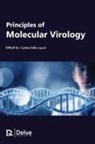 Carlos Tello Lacal - Principles of Molecular Virology
