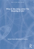 Stewart Goetz, Stewart (Ursinus College Goetz, Stewart Seachris Goetz, Goetz Stewart, Joshua W. Seachris, Joshua W. (University of Notre Dame Seachris... - What Is This Thing Called the Meaning of Life?