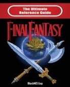 Blacknes Guy, Blacknes Guy - The Ultimate Reference Guide to Final Fantasy