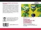 Eduard Padilla C, Eduardo Padilla C, Eduardo Padilla C., Ivá Sánchez Hernández, Iván Sánchez Hernández, Torres... - Potencial antidiabético de Cnidoscolus aconitifolius