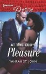 Yahrah St John, Yahrah St. John - At the Ceo's Pleasure