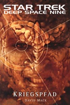 David Mack - Star Trek Deep Space Nine 11