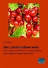 H Timm, H. Timm - Der Johannisbeerwein