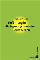 Jochen Peichl - Einführung in die hypnosystemische Teiletherapie