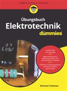 Michael Felleisen - Übungsbuch Elektrotechnik für Dummies