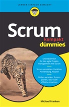 Michael Franken - Scrum kompakt für Dummies