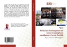 Bouy Diop, Bouya Diop, Djiby Sarr - Pollution Anthropique de basse troposphère sahélienne: Cas de DAKAR
