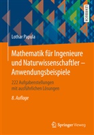 Lothar Papula, Lothar (Dr.) Papula - Mathematik für Ingenieure und Naturwissenschaftler: Anwendungsbeispiele