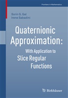 Sorin Gal, Sorin G Gal, Sorin G. Gal, Irene Sabadini - Quaternionic Approximation