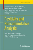 Gerard Buskes, Marce de Jeu, Marcel De Jeu, Peter Dodds, Peter Dodds et al, Jan van Neerven... - Positivity and Noncommutative Analysis