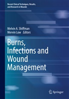 Melvi A Shiffman, Melvin A Shiffman, Low, Low, Mervin Low, Melvin A. Shiffman - Burns, Infections and Wound Management