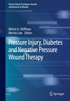 Melvi A Shiffman, Melvin A Shiffman, Low, Low, Mervin Low, Melvin A. Shiffman - Pressure Injury, Diabetes and Negative Pressure Wound Therapy