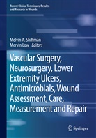 Melvi A Shiffman, Melvin A Shiffman, Low, Low, Mervin Low, Melvin A. Shiffman - Vascular Surgery, Neurosurgery, Lower Extremity Ulcers, Antimicrobials, Wound Assessment, Care, Measurement and Repair