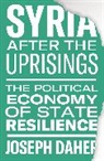 Joseph Daher, Daher Joseph - Syria After the Uprisings