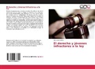 Ana Lelia Calafat - El derecho y jóvenes infractores a la ley