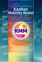 David Anderson, David J Anderson, David J. Anderson, Teodora Bozheva - Kanban Maturity Model