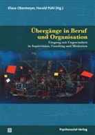 Karin Lackner, Anusheh Rafi, K Rappe-Giesecke, Klau Obermeyer, Klaus Obermeyer, Harald PÃ¼hl... - Übergänge in Beruf und Organisation