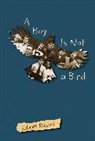 Edeet Ravel, Ravel Edeet - A Boy Is Not a Bird