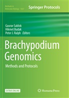 Hikme Budak, Hikmet Budak, Peter J Ralph, Peter J. Ralph, Gaurav Sablok - Brachypodium Genomics