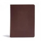 Csb Bibles By Holman, He Reads Truth, Raechel Myers, Amanda Bible Williams - CSB He Reads Truth Bible, Brown Genuine Leather Indexed