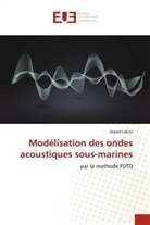 Jawad Lakziz - Modélisation des ondes acoustiques sous-marines