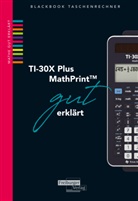 Helmu Gruber, Helmut Gruber, Robert Neumann - TI-30X Plus MathPrint gut erklärt