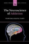 Francesca Filbey, Francesca (University of Texas Filbey, Francesca Mapua Filbey, Francesca Mapua (University of Texas Filbey - Neuroscience of Addiction