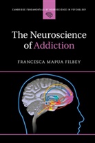 Francesca Filbey, Francesca (University of Texas Filbey, Francesca Mapua Filbey, Francesca Mapua (University of Texas Filbey - The Neuroscience of Addiction
