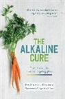 Stephan Domenig - Alkaline Cure