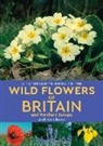 Andrew Cleave - A Naturalist's Guide to the Wild Flowers of Britain and Northern Europe (2nd edition)