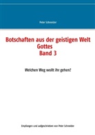 Peter Schneider - Botschaften aus der geistigen Welt Gottes