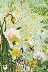 Tanja Stephani - Meine Notizen Frühlingsblumen
