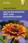Martin Haberer, Kaspa Heissel, Kaspar Heißel - Was ist das? Die 120 wichtigsten Beet- und Balkonpflanzen (Spiel)