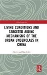Mao Feifei, Zhu Li, Zhu Feifei Li, Feifei Mao, Li Zhu - Living Conditions and Targeted Aiding Mechanisms of the Urban