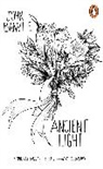 John Banville, John (Author) Banville - Ancient Light