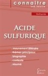 Amélie Nothomb - Fiche de lecture Acide sulfurique de Nothomb (Analyse littéraire de référence et résumé complet)