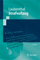 Klaus Laubenthal - Strafvollzug