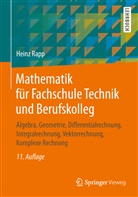 Heinz Rapp - Mathematik für Fachschule Technik und Berufskolleg; .