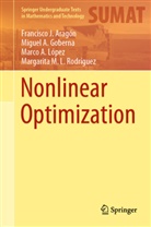 Francisco Aragón, Francisco J Aragón, Francisco J. Aragón, Miguel Goberna, Miguel A Goberna, Miguel A. Goberna... - Nonlinear Optimization