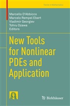Marcello D'Abbicco, Marcelo R. Ebert, Marcelo Rempel Ebert, Vladimir Georgiev, Vladimir Georgiev et al, Tohru Ozawa... - New Tools for Nonlinear PDEs and Application