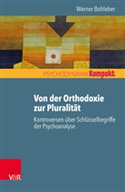 Werner Bohleber - Von der Orthodoxie zur Pluralität - Kontroversen über Schlüsselbegriffe der Psychoanalyse