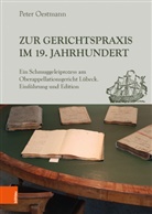 Peter Oestmann - Zur Gerichtspraxis im 19. Jahrhundert; .