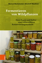 Michael Machatschek, Elisabeth Mauthner - Fermentieren von Wildpflanzen