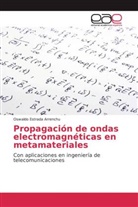 Oswaldo Estrada Arrenchu - Propagación de ondas electromagnéticas en metamateriales