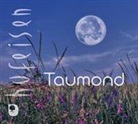 Hans-Jürgen Hufeisen - Taumond, 1 Audio-CD (Hörbuch)