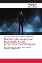 Luis Migue González García, Luis Miguel González García, Salvado Zuñiga Rocha, Salvador E. Zuñiga Rocha - Modelos de proyección prospectiva, una propuesta metodológica.