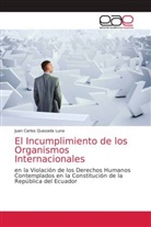 Juan Carlos Quezada Luna - El Incumplimiento de los Organismos Internacionales
