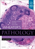 Bell, Sarah Bell, Sarah (Consultant Pathologist Bell, Bell Sarah, Geraldine O'Dowd, Geraldine (Consultant Diagnostic Pathologist O'Dowd... - Wheater's Pathology