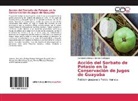 Genisberto Enrique Barreto Rodriguez - Acción del Sorbato de Potasio en la Conservación de Jugos de Guayaba